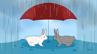 Как малому бизнесу получить господдержку: субсидии, гранты и льготные кредиты