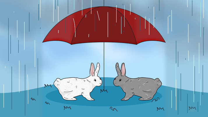 Как малому бизнесу получить господдержку: субсидии, гранты и льготные кредиты