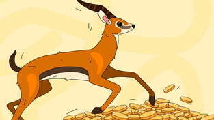 Как заполнить и сдать декларацию по налогу на прибыль за 2024 год