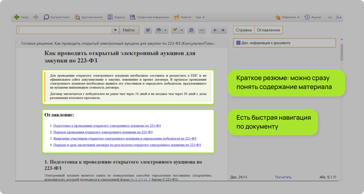 <span>Как выглядит Готовое решение по 223-ФЗ (Проф)</span>