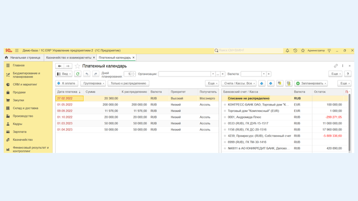 <span><i>Опции платежного календаря</i></span>