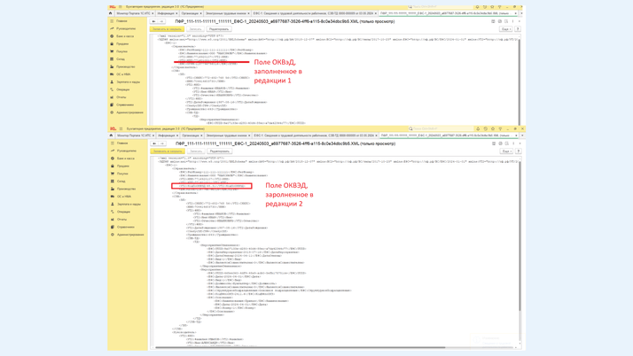 Пример, как выглядит отчет, при заполнении разных полей ОКВЭД