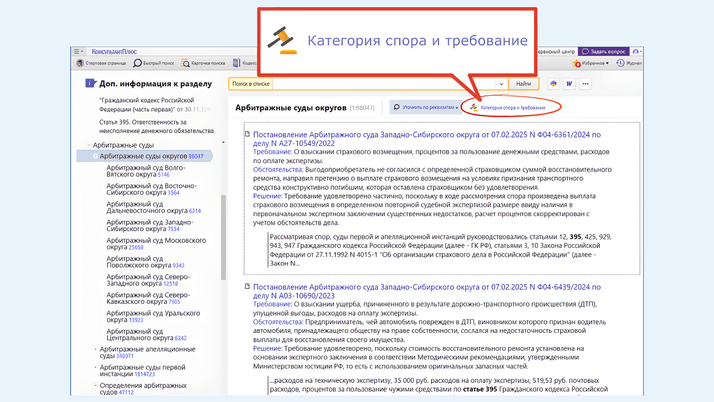 <span>Быстрый фильтр по категории спора и требованию</span>